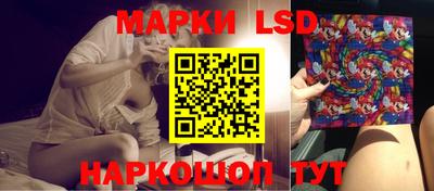 стаф Новозыбков
