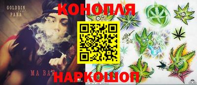 стаф Новозыбков